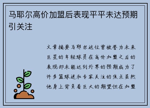 马耶尔高价加盟后表现平平未达预期引关注